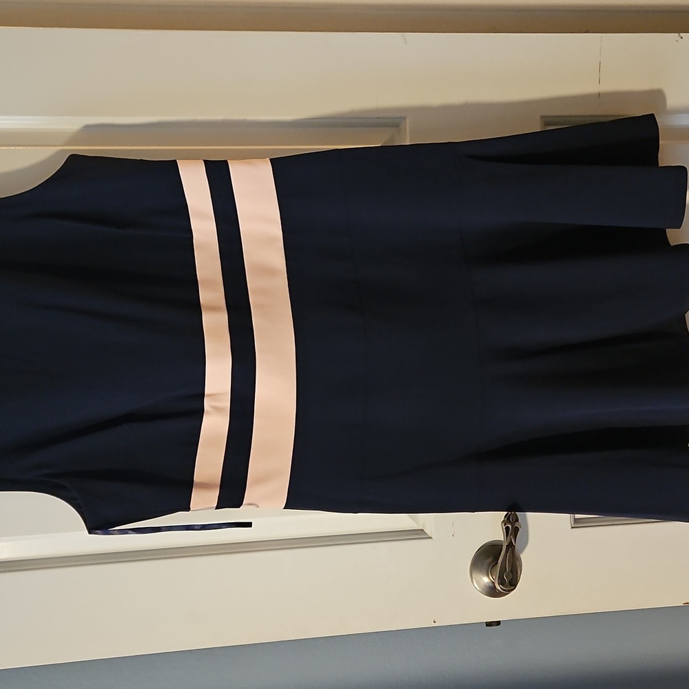 Elegant Lauren Navy and Pink Dress